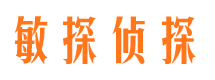 翠云侦探公司